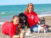 Превью фото № 215179