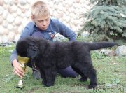 Превью фото № 215192