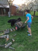 Превью фото № 215279