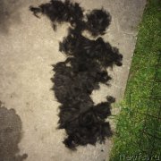 Превью фото № 215281