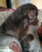 Превью фото № 215287