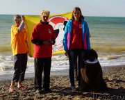 Превью фото № 215395