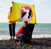 Превью фото № 215408