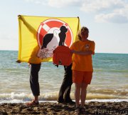 Превью фото № 215412