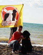 Превью фото № 215432