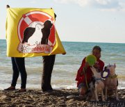 Превью фото № 215436