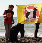 Превью фото № 215437