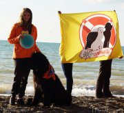 Превью фото № 215444