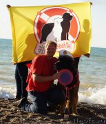 Превью фото № 215446