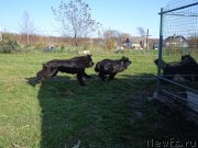 Превью фото № 215470