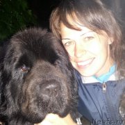 Превью фото № 215520