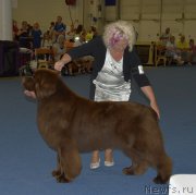 Превью фото № 215555