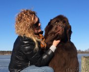 Превью фото № 215557