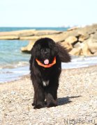 Превью фото № 215595