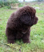 Превью фото № 215699