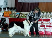 Превью фото № 215852