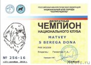 Превью фото № 215990