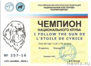 Превью фото № 215991