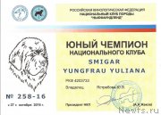 Превью фото № 215992