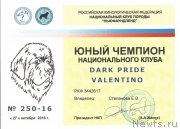 Превью фото № 215994