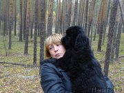 Превью фото № 216038