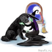 Превью фото № 216047