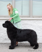 Превью фото № 216049