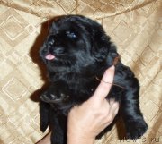 Превью фото № 216085