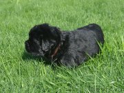 Превью фото № 216091