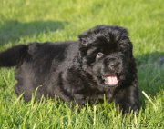 Превью фото № 216094