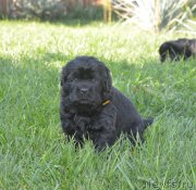 Превью фото № 216109