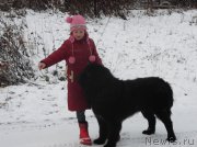 Превью фото № 216192