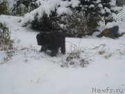 Превью фото № 216207