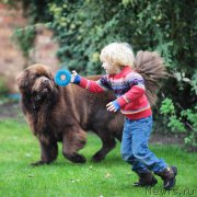 Превью фото № 216266