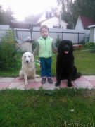 Превью фото № 216269