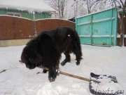 Превью фото № 216359