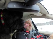 Превью фото № 216459