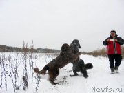 Превью фото № 216463