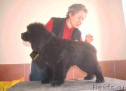 Превью фото № 216643