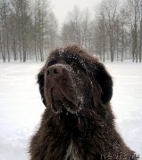 Превью фото № 216651