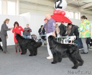 Превью фото № 216656