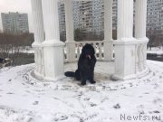 Превью фото № 216710