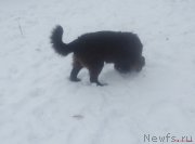 Превью фото № 216728