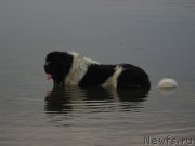 Превью фото № 216741