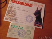 Превью фото № 216744