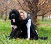 Превью фото № 216782