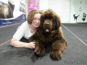 Превью фото № 216787