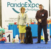 Превью фото № 216796