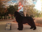 Превью фото № 216827