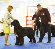 Превью фото № 216833